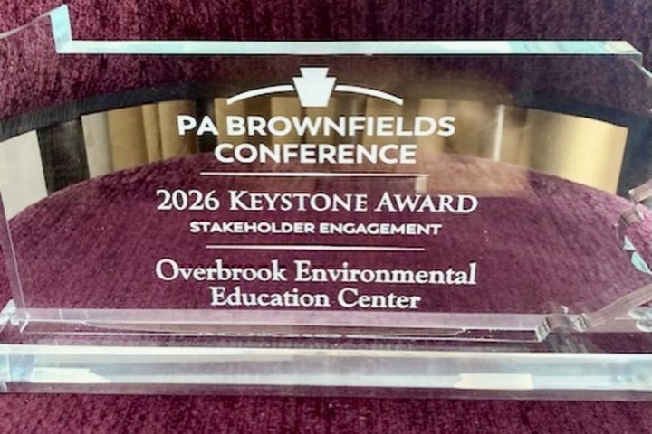 Keystone Award