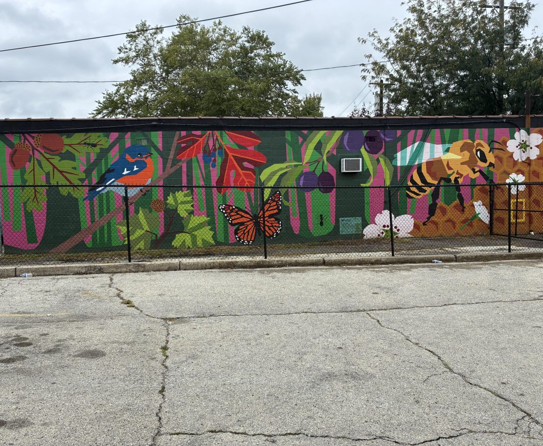 Philadelphia was one of four cities selected by National Geographic to create nature-inspired artwork in urban spaces